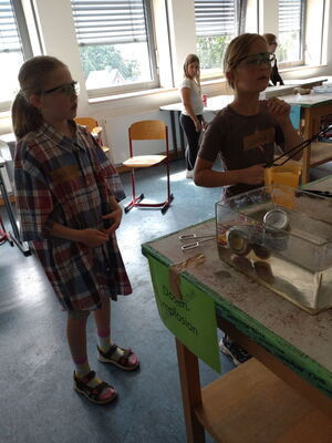 Schülerinnen und Schüler beim Experimentieren