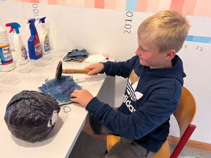 Schülerinnen und Schüler beim Experimentieren