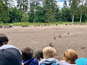Kinder beim Beobachten von Wildtieren