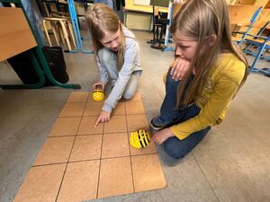 Schülerinnen und Schüler beim Experimentieren mit Beebots