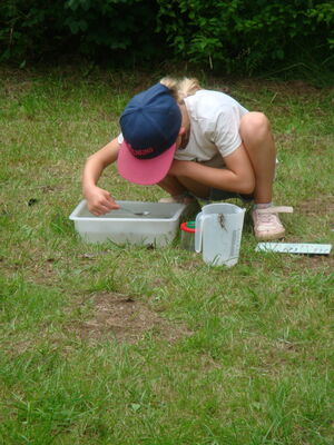 Schülerinnen und Schüler beim Programm im Park
