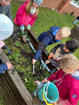 Gartentag in der Schule