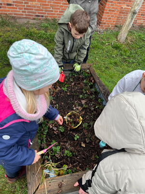 Gartentag in der Schule