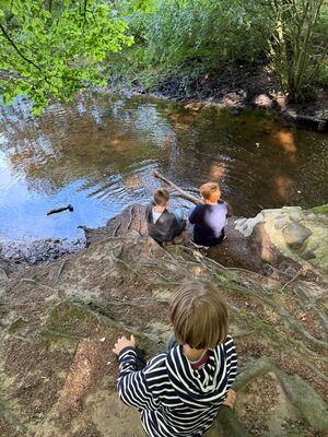 Schülerinnen und Schüler beim Ausflug in den Wald