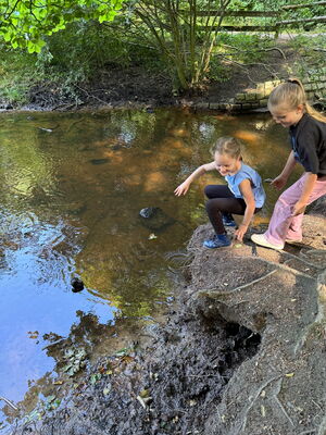 Schülerinnen und Schüler beim Ausflug in den Wald