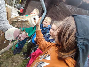 Kinder mit Wildvögeln