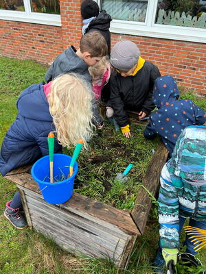 Gartentag in der Schule