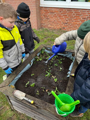 Gartentag in der Schule