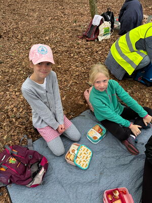 Schülerinnen und Schüler beim Ausflug in den Wald