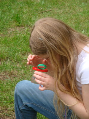 Schülerinnen und Schüler beim Programm im Park