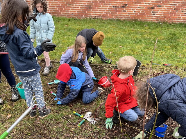 Gartentag in der Schule