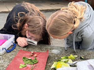 Naturtag mit Schnecken
