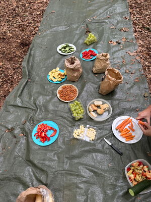 Schülerinnen und Schüler beim Ausflug in den Wald