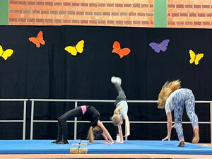 Kinder beim Turnen in der Turnhalle