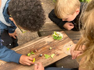 Naturtag mit Schnecken