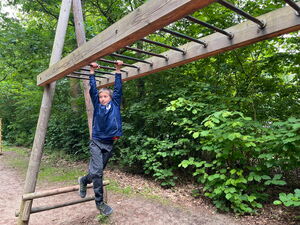 Kinder beim Wandern im Park