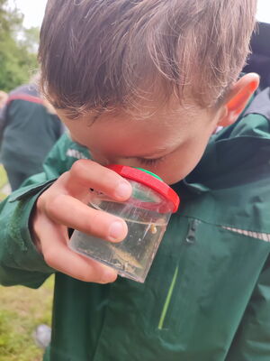 Kinder beim Experimentieren im Freien