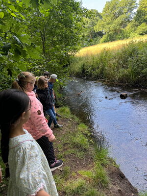 Schülerinnen und Schüler beim Ausflug in den Wald