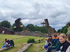 Kinder mit Wildvögeln