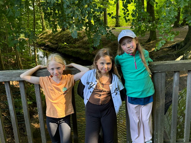 Schülerinnen und Schüler beim Ausflug in den Wald