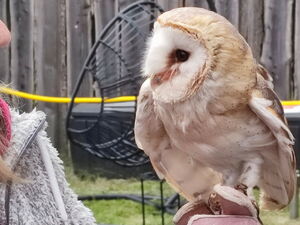 Kinder mit Wildvögeln