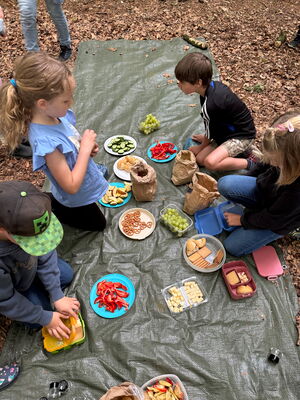 Schülerinnen und Schüler beim Ausflug in den Wald