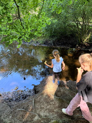 Schülerinnen und Schüler beim Ausflug in den Wald