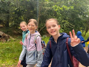 Kinder beim Wandern im Wald