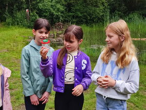 Kinder beim Experimentieren im Freien