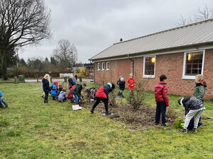 Gartentag in der Schule