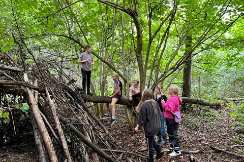 Schulkinder im Wald