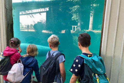 Kindergruppe am Fenster eines Meeresaquariums