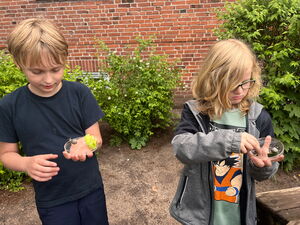 Naturtag mit Schnecken