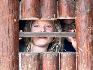 Kinder beim Spielen auf Klettergerüsten