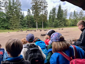 Kinder beim Beobachten von Wildtieren