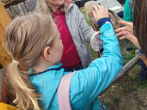 Kinder mit Wildvögeln