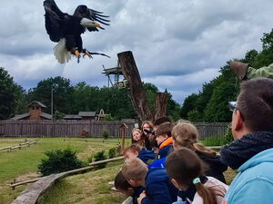 Kinder mit Wildvögeln