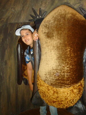 Kinder im Fledermausmuseum
