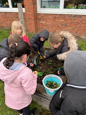 Gartentag in der Schule