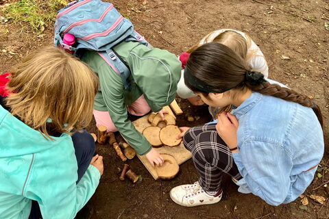 Schulkinder im Wald