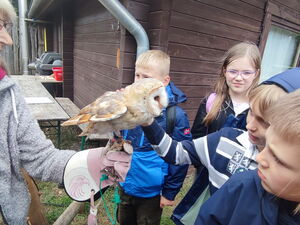 Kinder mit Wildvögeln
