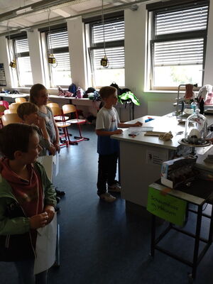 Schülerinnen und Schüler beim Experimentieren