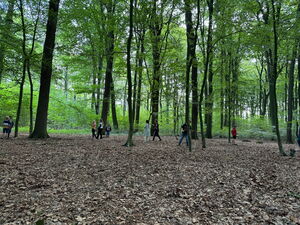 Schülerinnen und Schüler beim Ausflug in den Wald