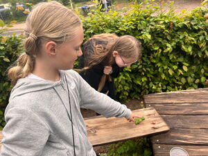 Naturtag mit Schnecken