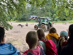 Kinder beim Beobachten von Wildtieren