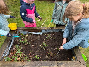 Gartentag in der Schule