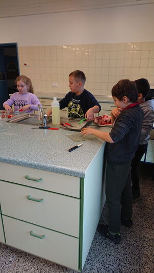 Kinder in der Küche beim Schneiden