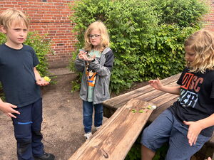 Naturtag mit Schnecken