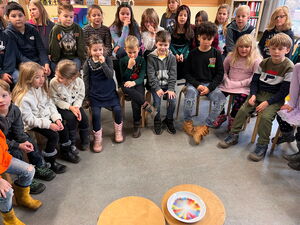 Schülerinnen und Schüler beim Experimentieren in Gruppen