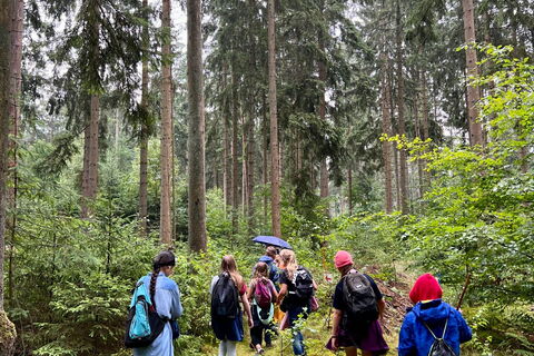 Schulkinder im Wald